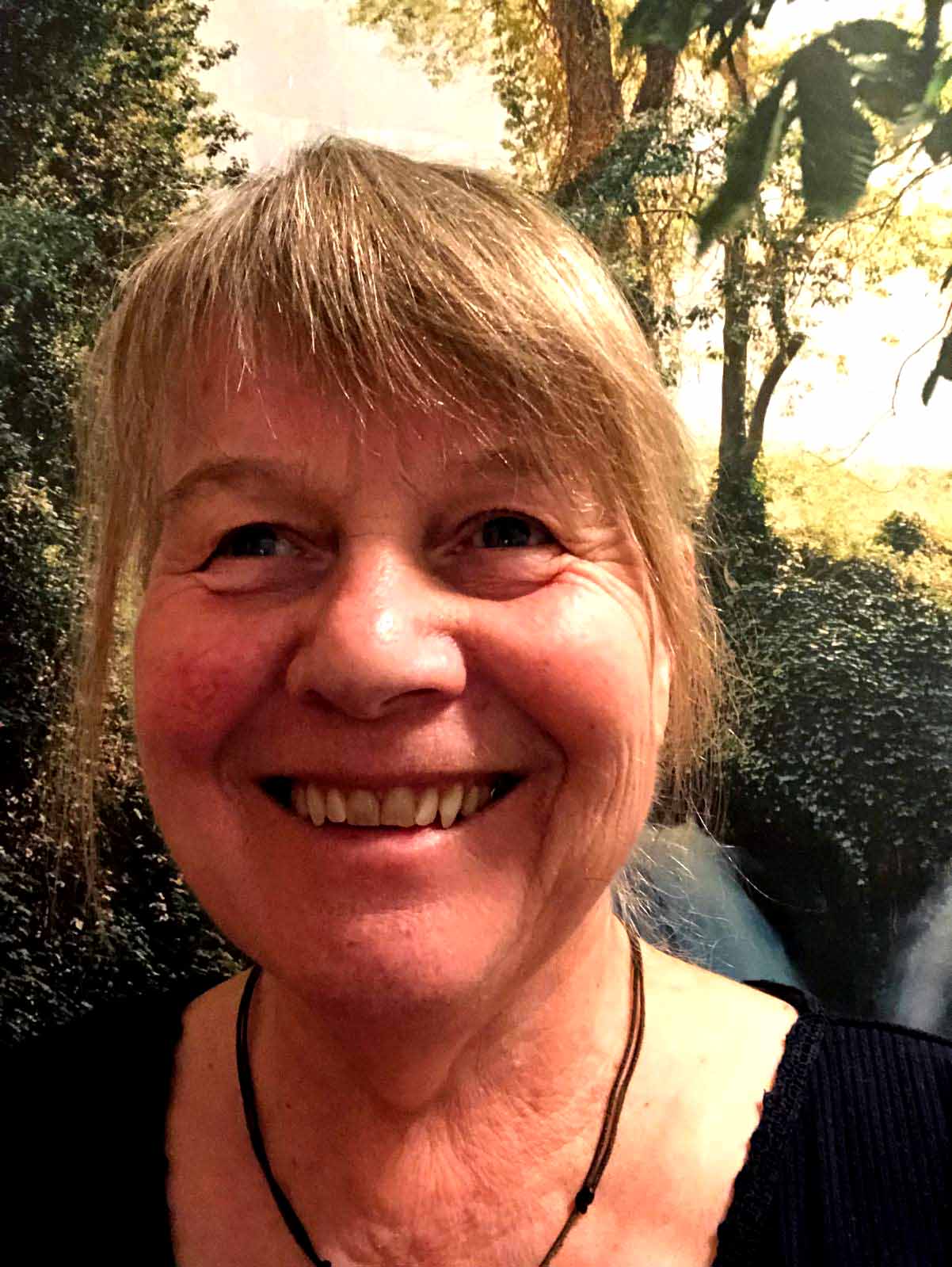 Bild von Jutta Henze